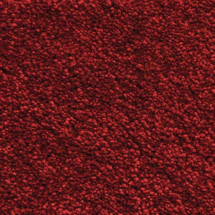 Berry 20