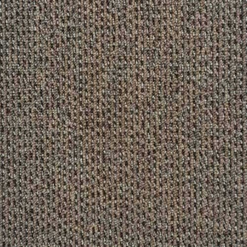 Light Brown 17