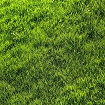 Spring Green